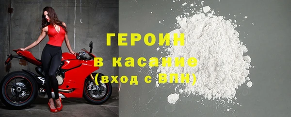 прущие грибы Лабытнанги