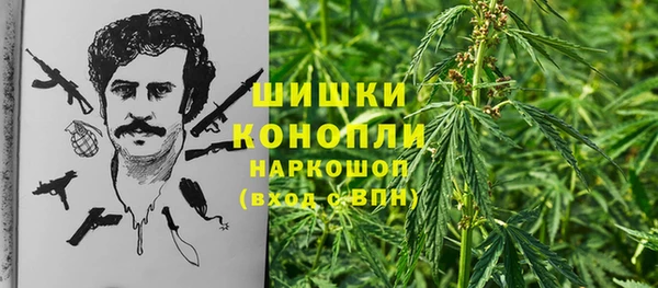амф Абинск