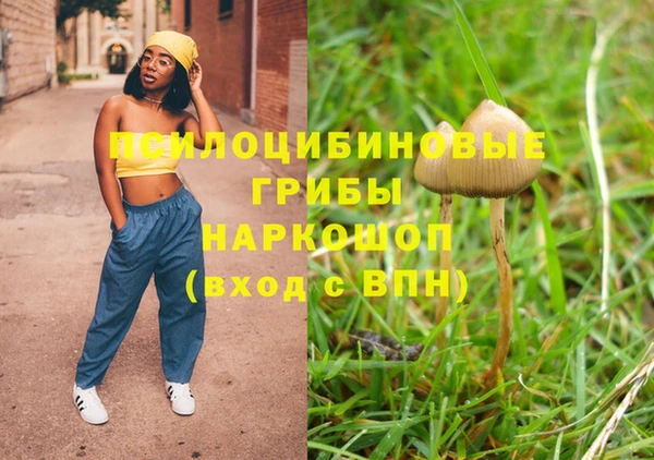 амф Абинск